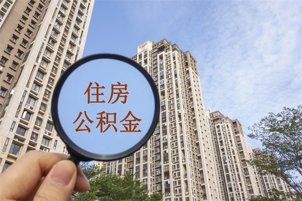 公积金还看征信吗吗_禹城公积金代办在职离职封存服务